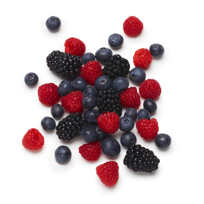 fresh berries icon