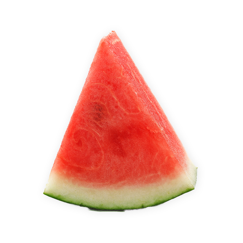 watermelon slice icon