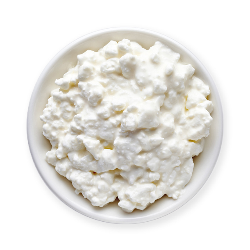 cottage cheese icon