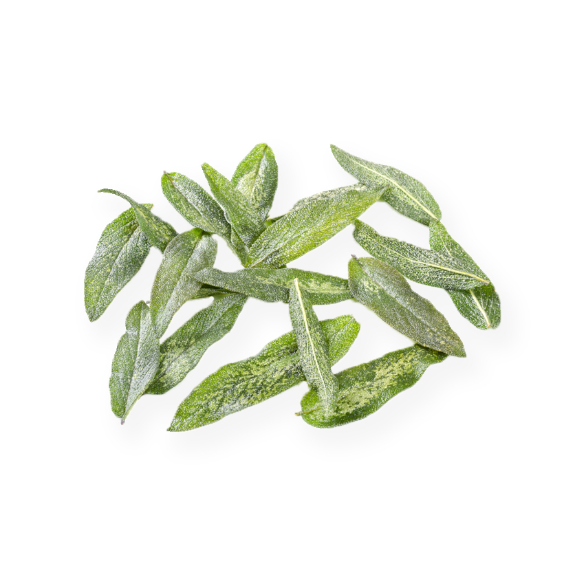 Fried sage leaves icon