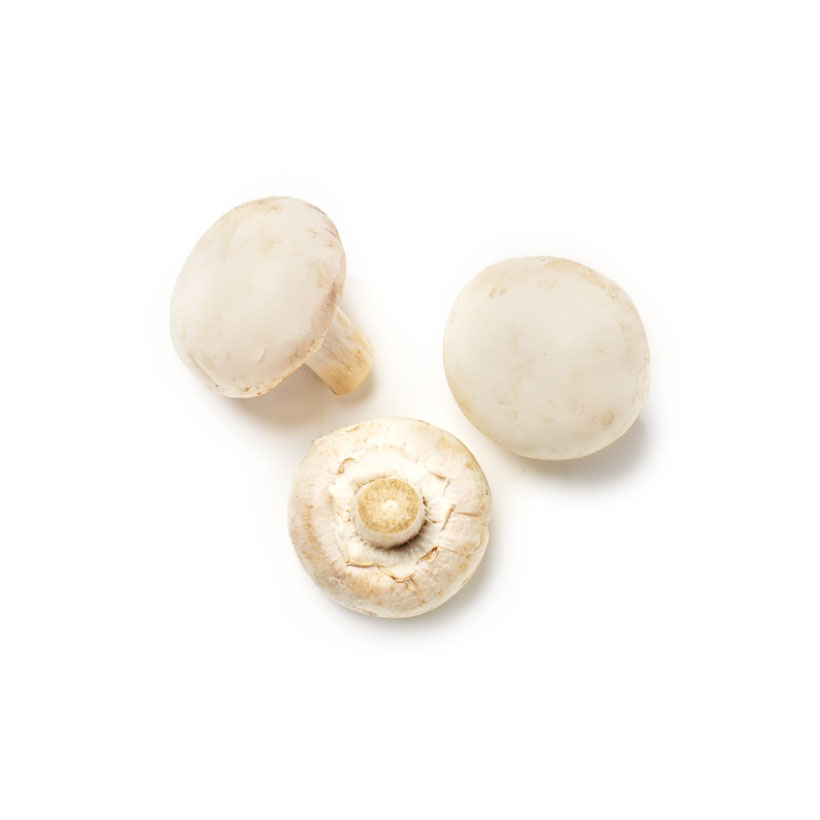 Champignon icon
