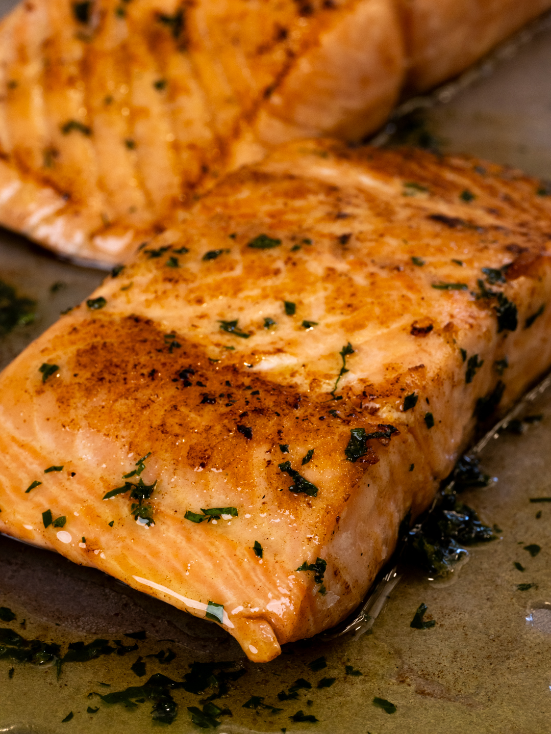 Essential Turbo Guide to Farmed Atlantic Salmon