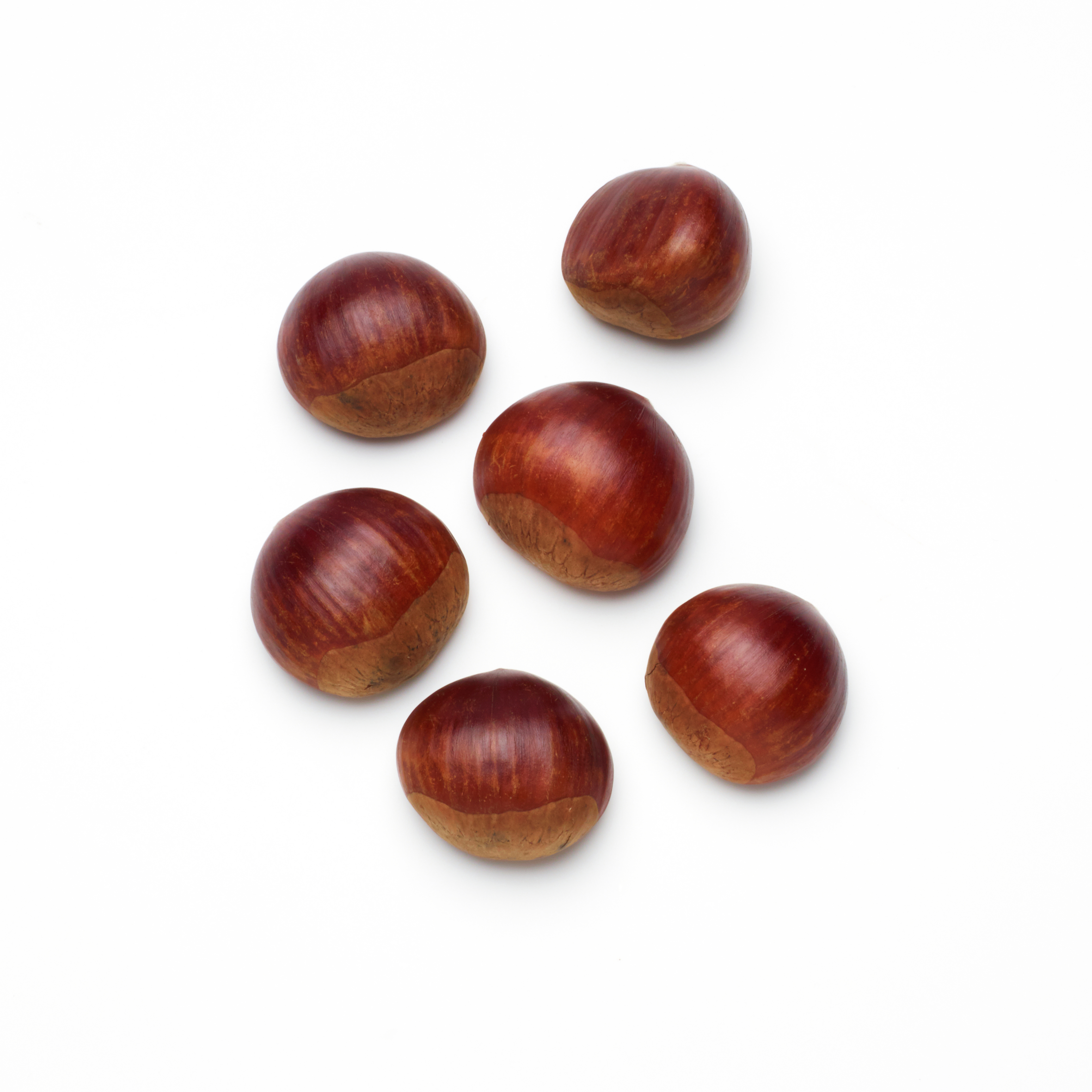 roasted and peeled chestnuts icon