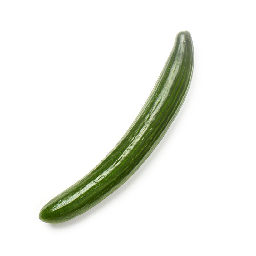 hothouse cucumber icon