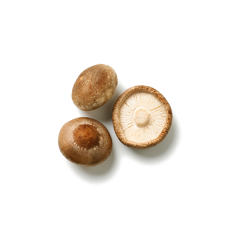 shiitake mushroom icon