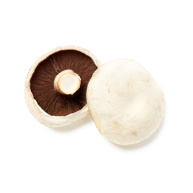 sliced mushrooms icon