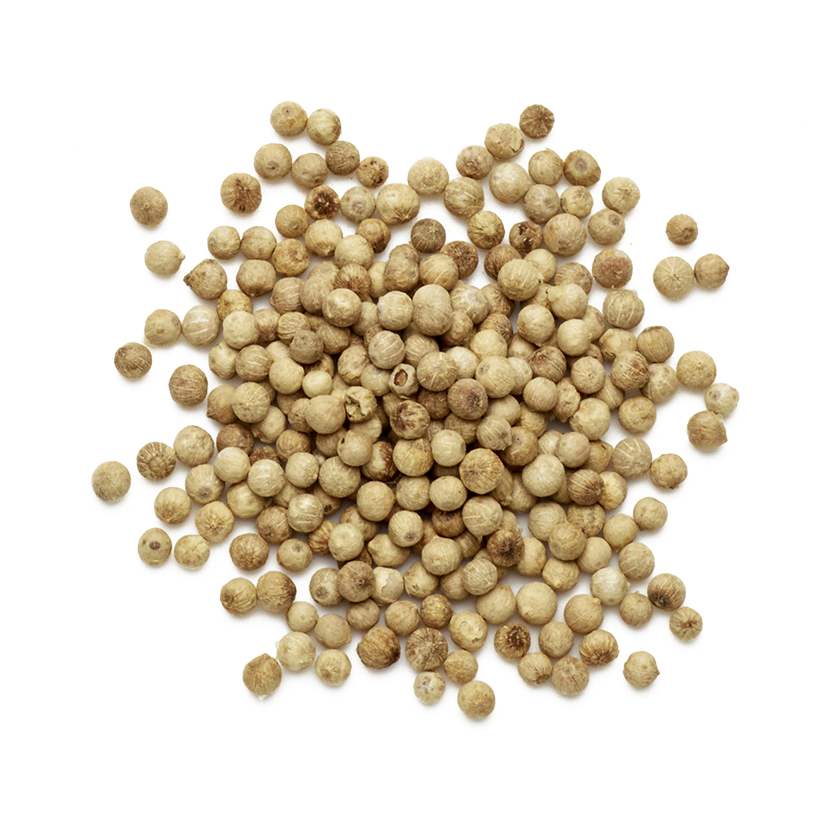 ground white or black pepper icon