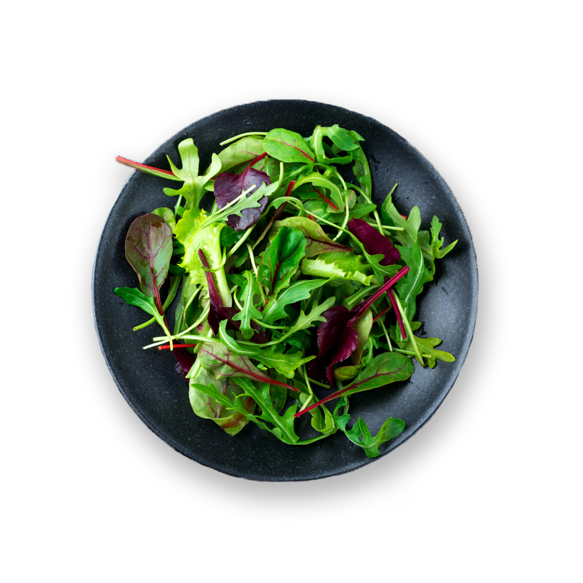 salad greens icon