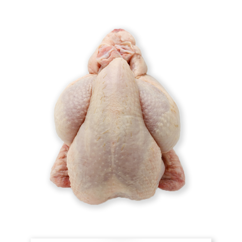 Cornish game hen icon
