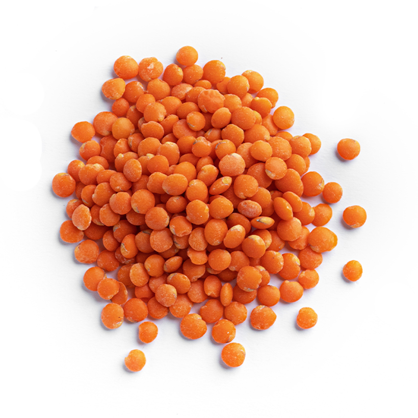 red lentils icon