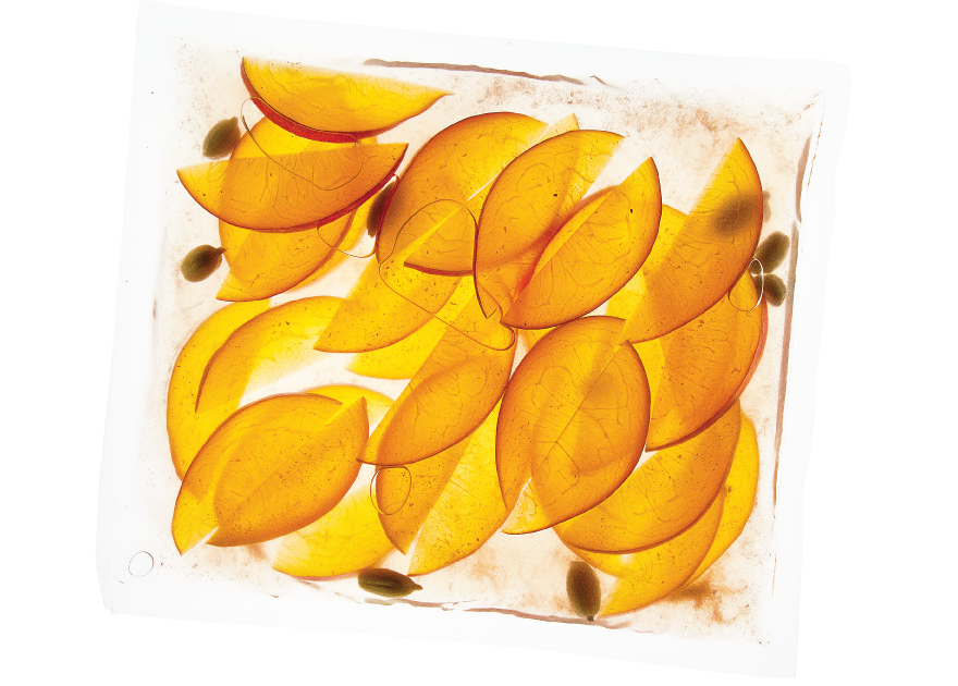 Food vacuum sealed Food vacuum sealed