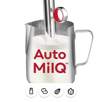 Auto MilQ