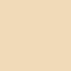 Champagne color swatch