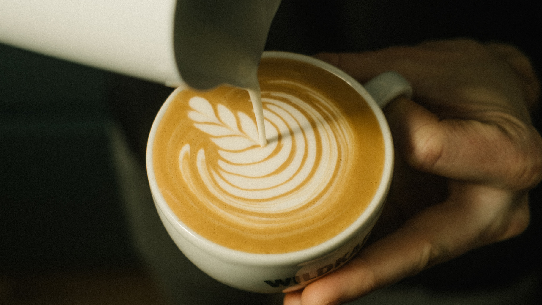 Wildkaffee