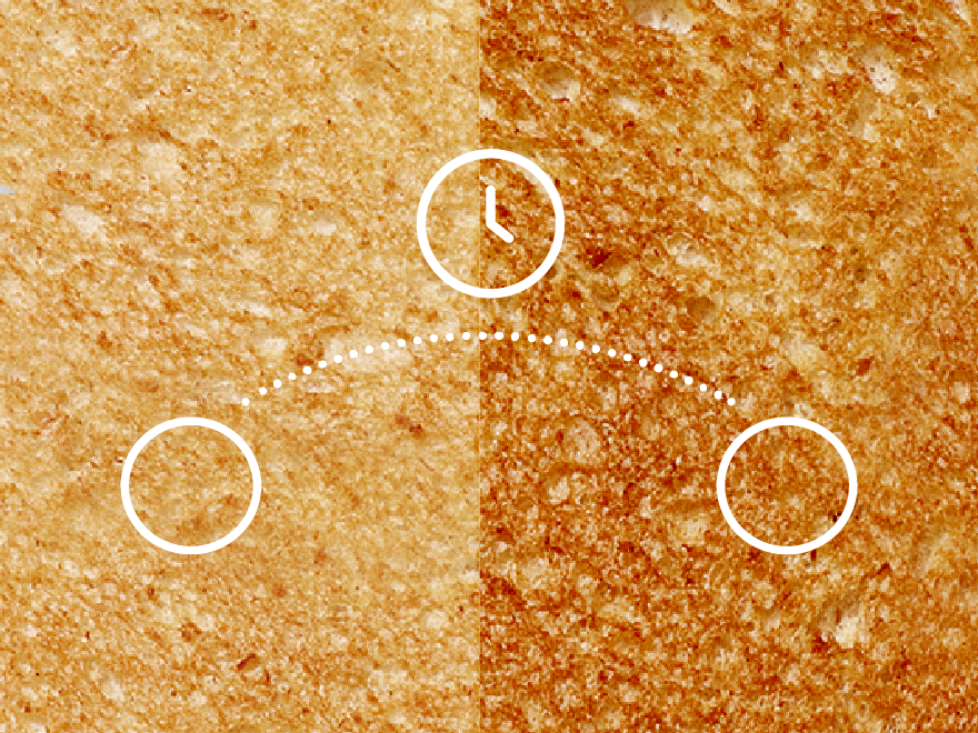 Visual comparison of toast, from light on the left to dark on the right, with icons indicating browning levels.