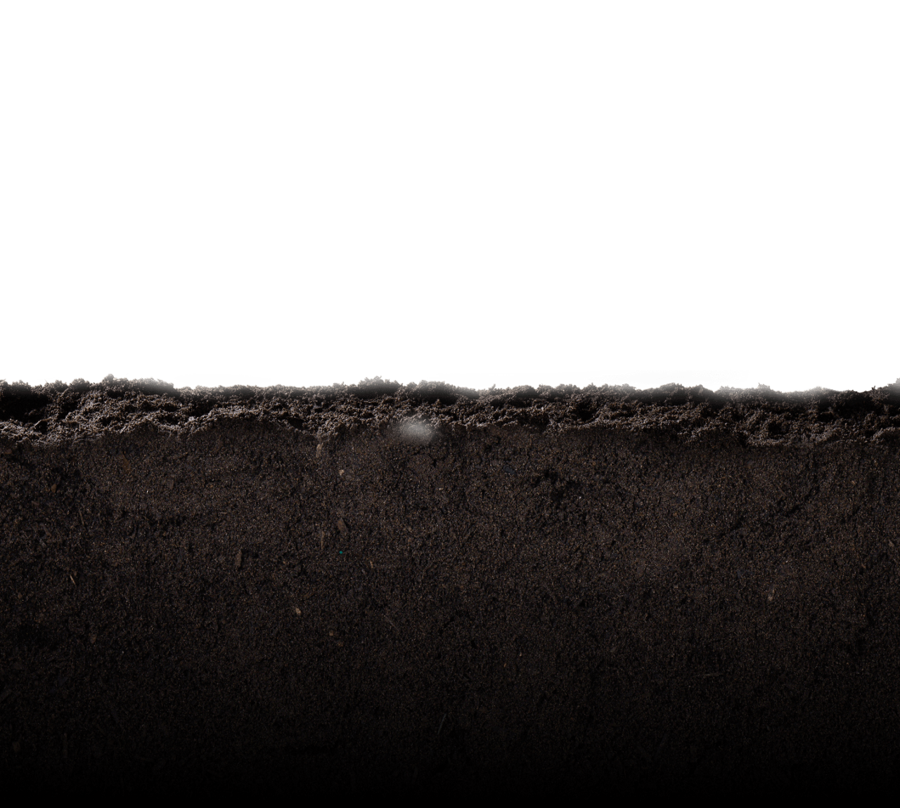 Soil