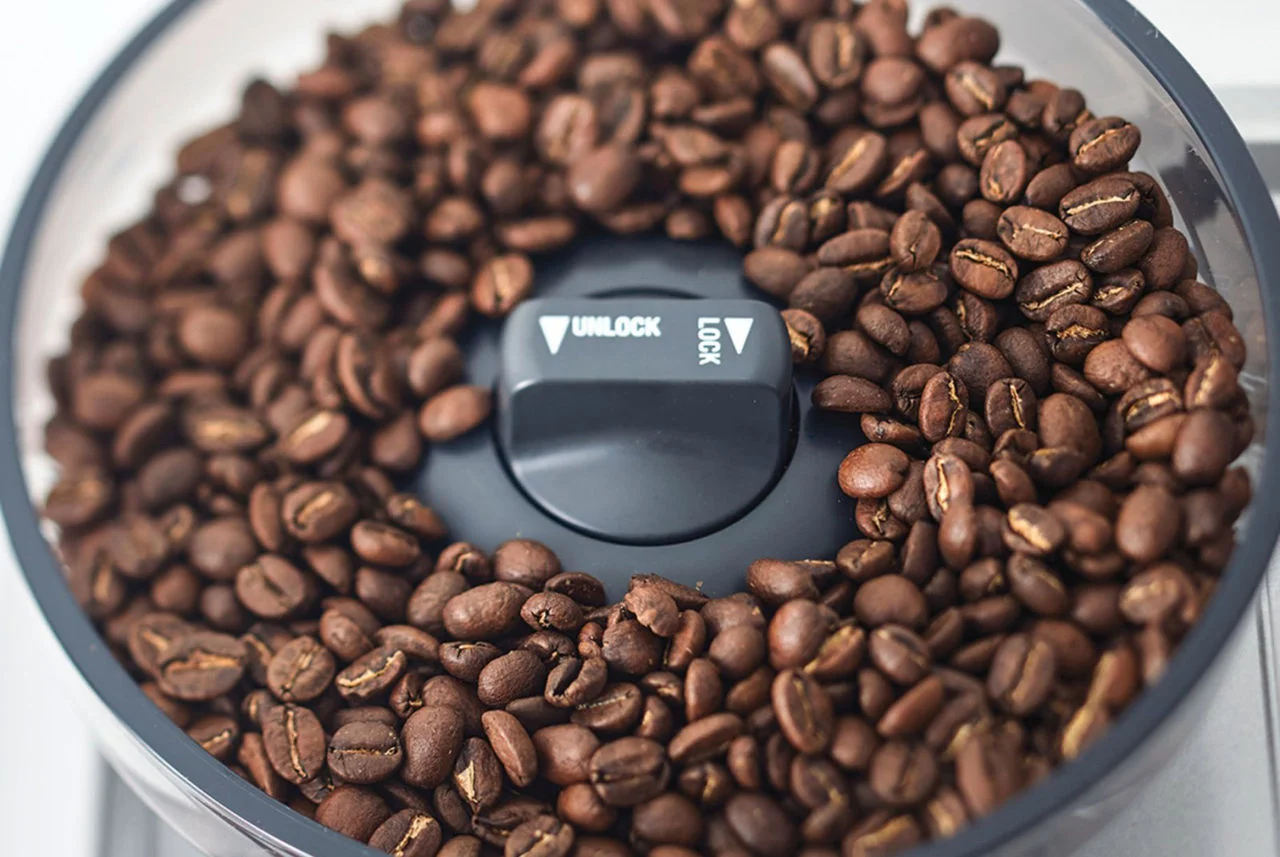 Coffee beans in a Breville machine hopper.