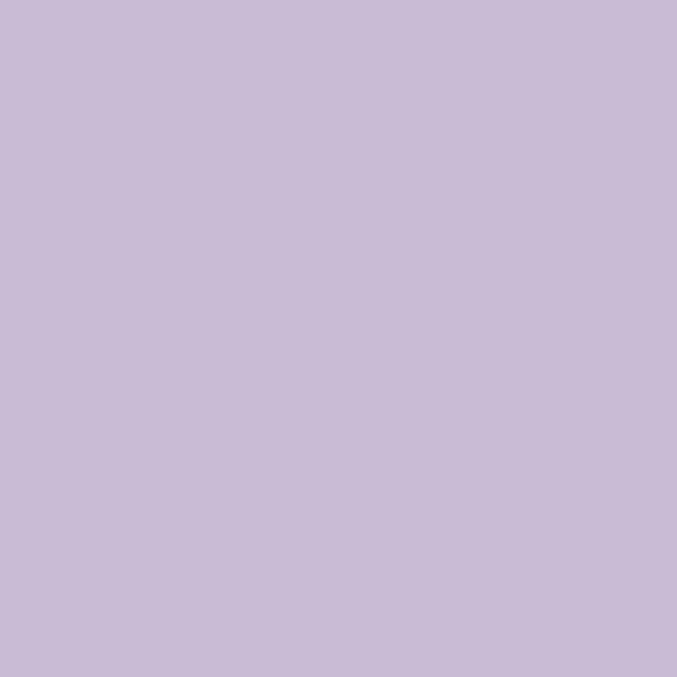 Lilac color swatch