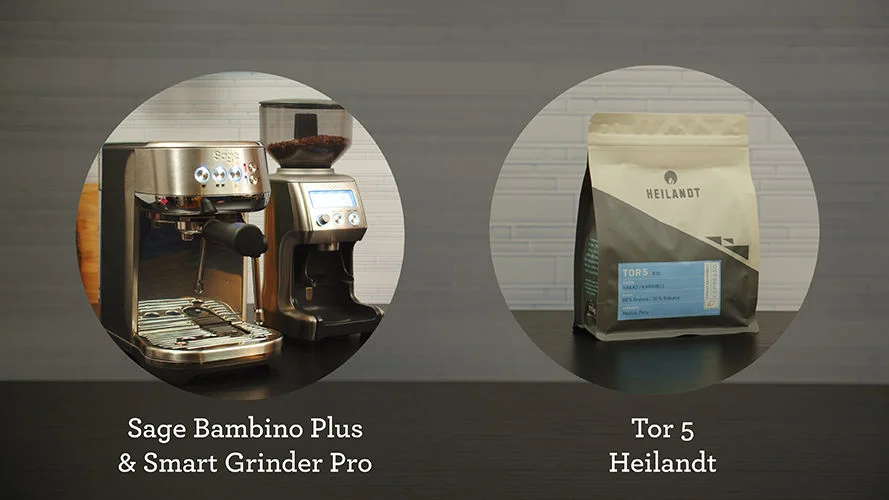 the Bambino® Plus
