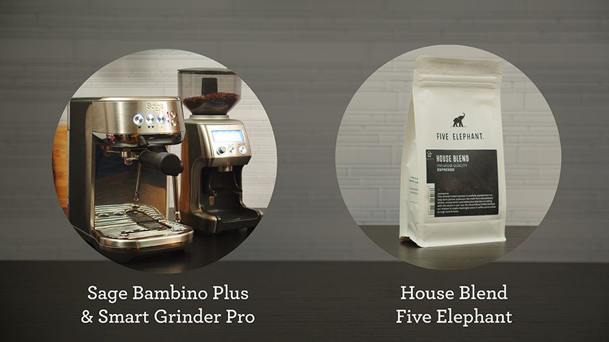 the Bambino® Plus