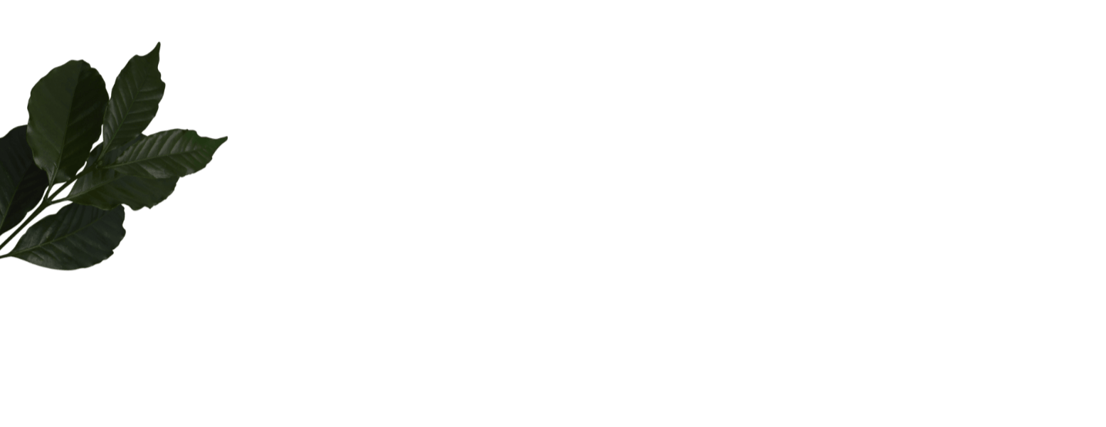 Coffee Leaves