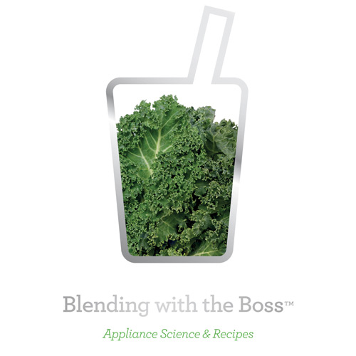 the Boss™ Blenders in Brushed Aluminium complimentary recipe book