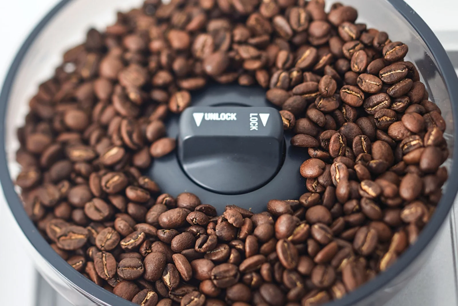Coffee beans in a Breville machine hopper.