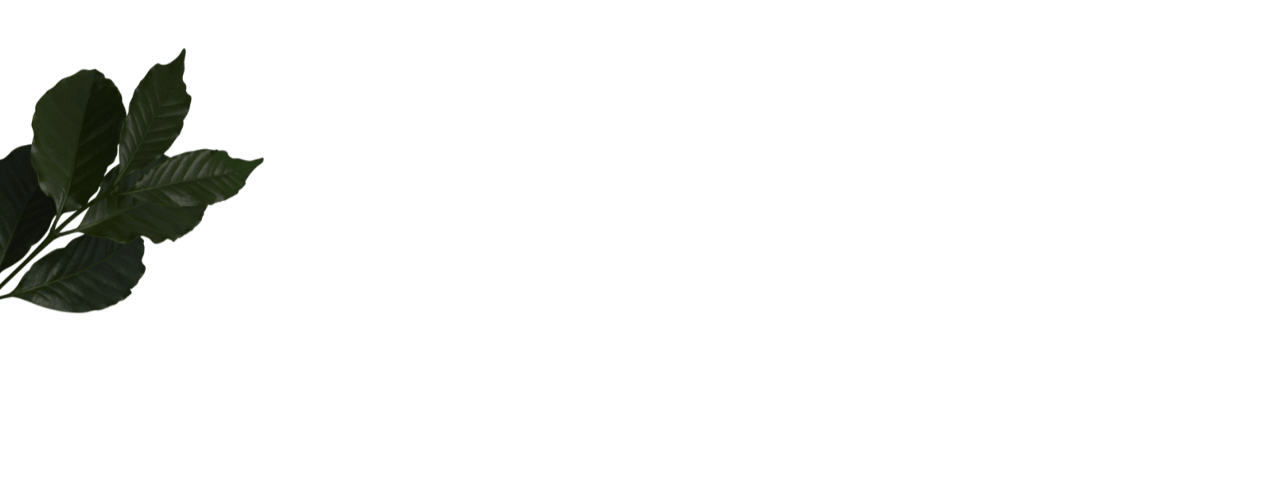 Coffee Leaves