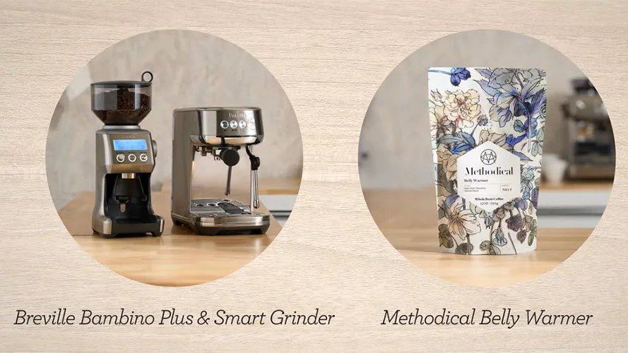 the Bambino® Plus