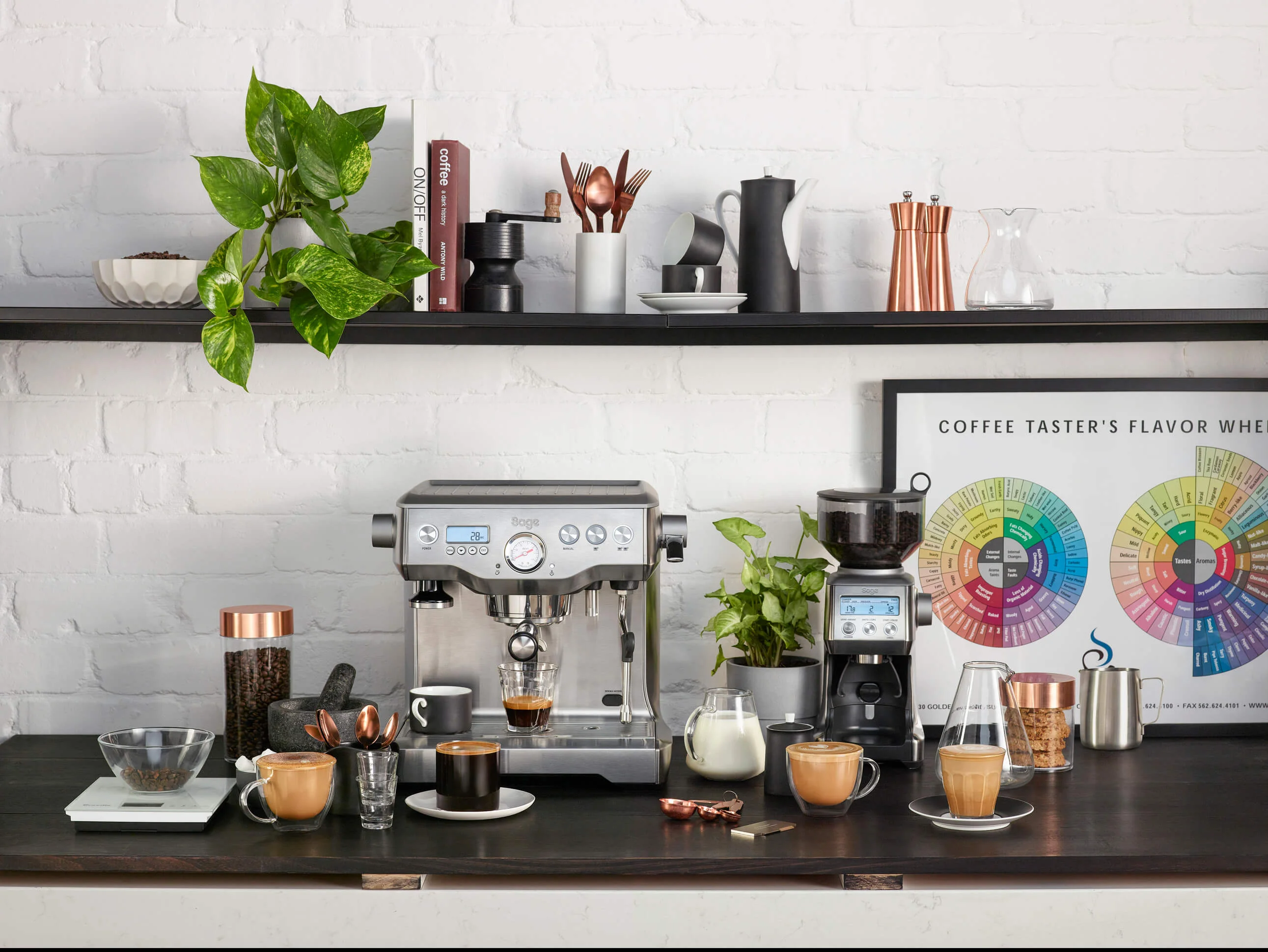 espresso vs drip coffee machine.jpg