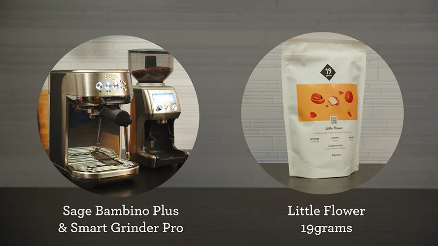 the Bambino® Plus