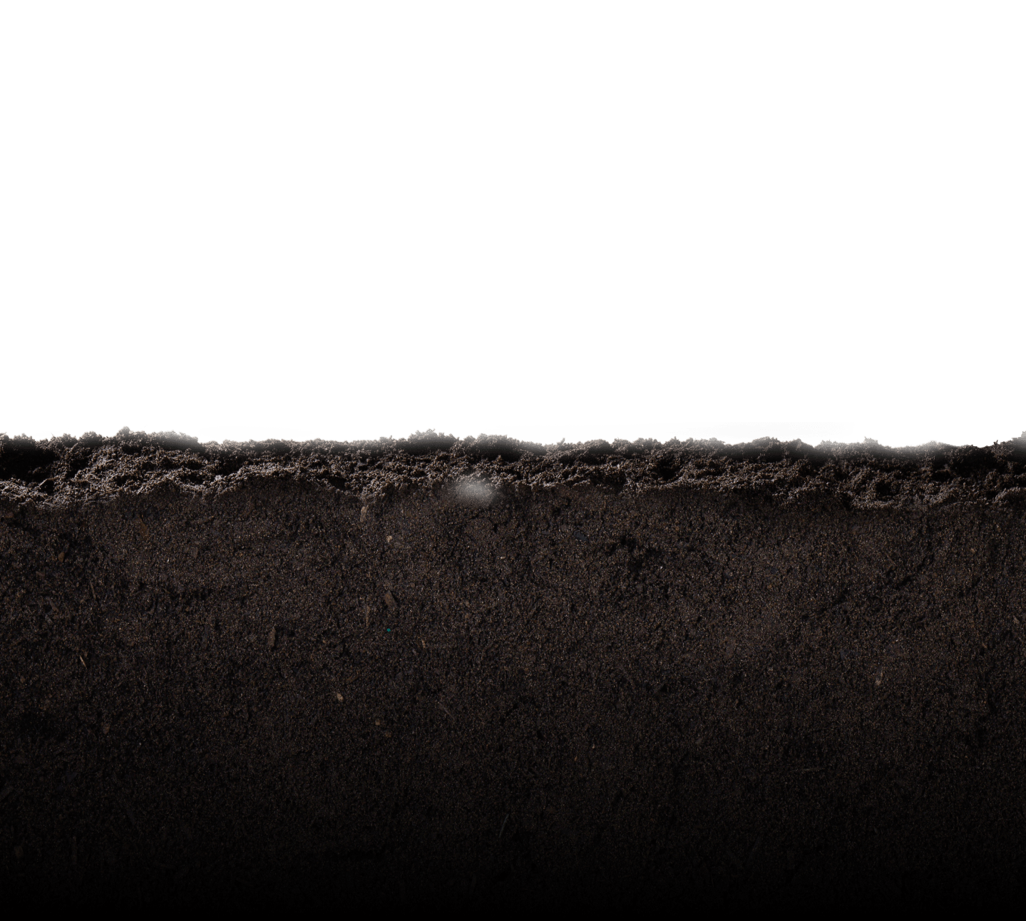 Soil