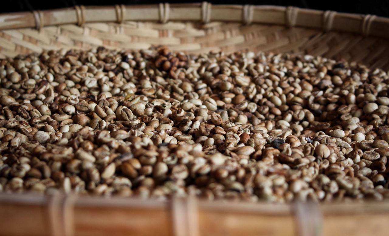 different-speciality-coffee-origins-4.jpeg