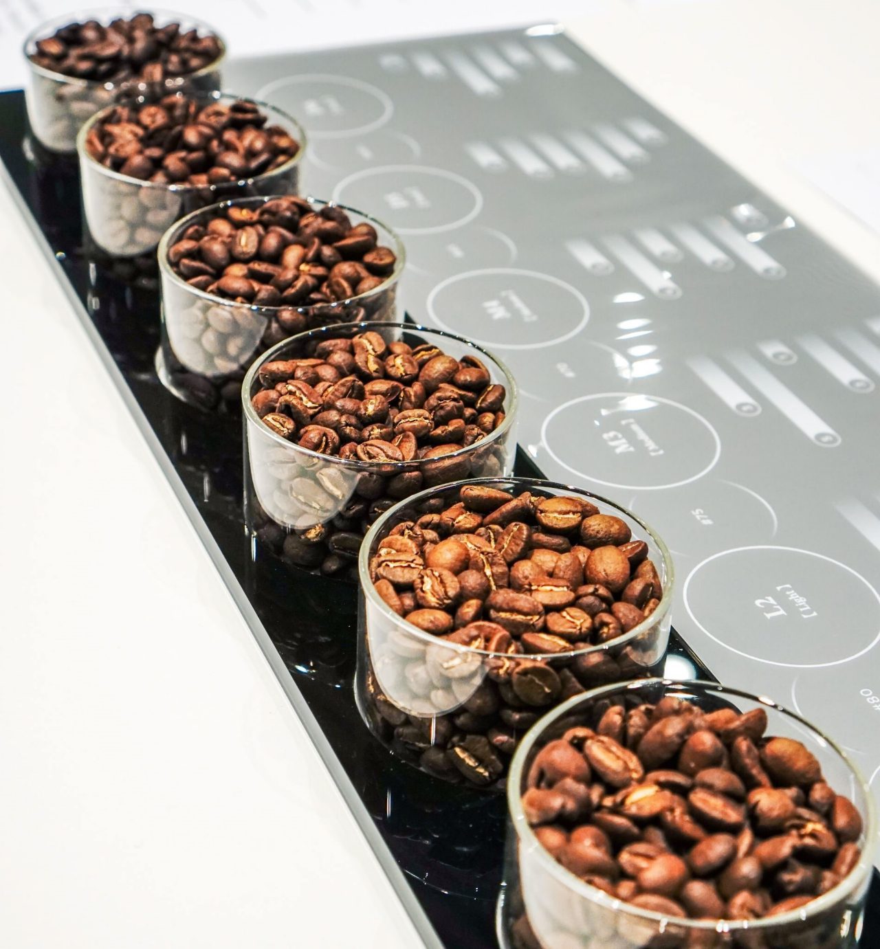 different-speciality-coffee-origins-2.jpeg