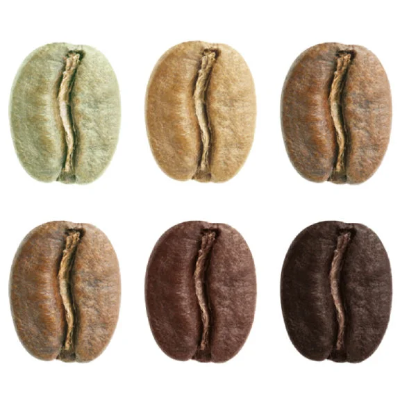 Coffee-Beans-576x576-Transparent.png