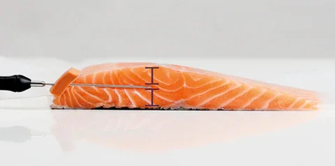 Delta Cooking Salmon