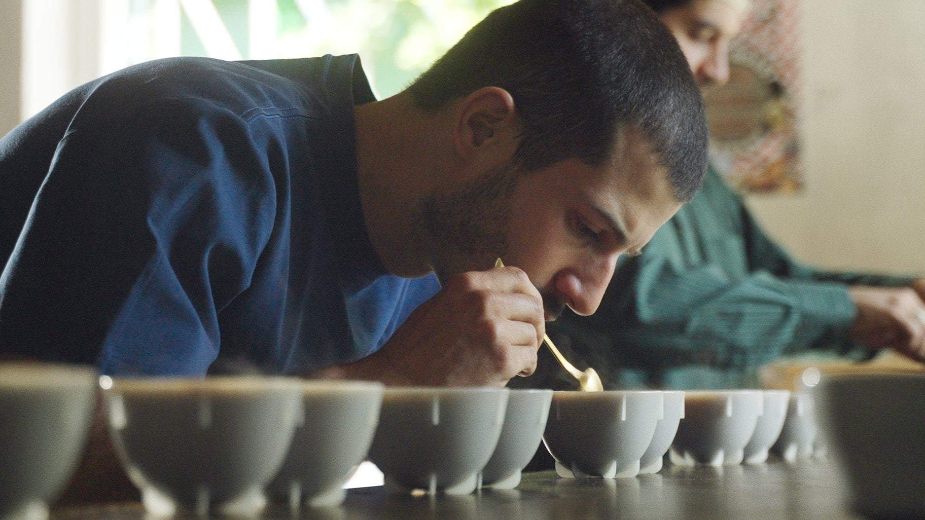 Sprout roastery